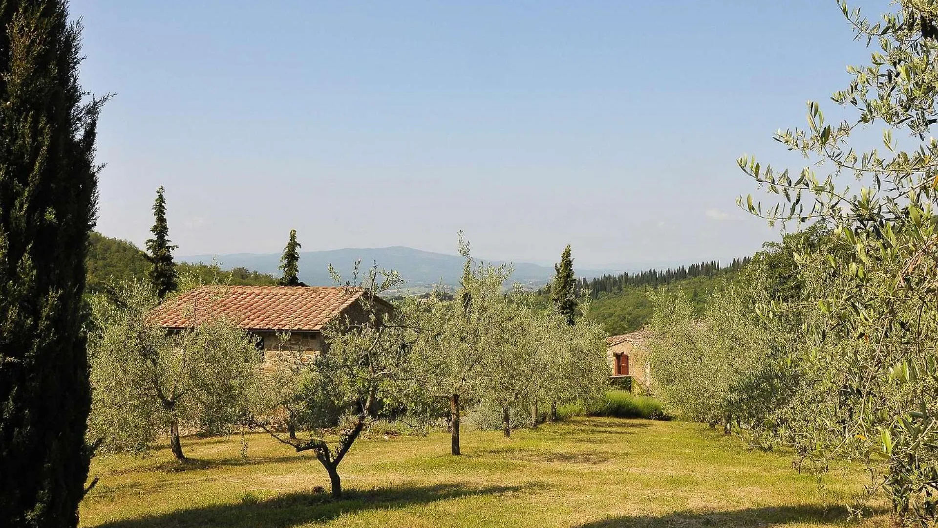 Casa Al Bosco Villa Vagliagli